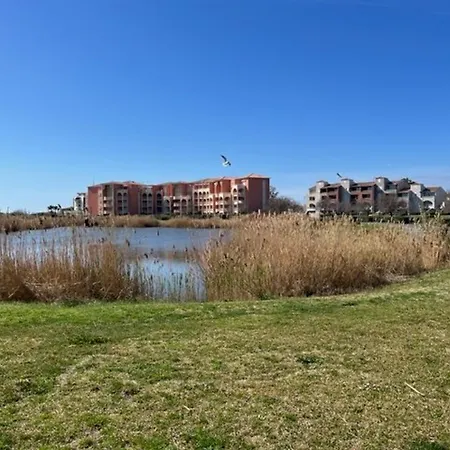 Appartement Rdc 2 Chambres, Terrasse, A 200m Plage, Parking, Animaux Admis - Fr-1-749-89